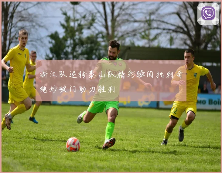 浙江队逆转泰山队精彩瞬间托利奇绝妙破门助力胜利