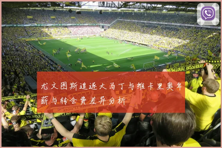 尤文图斯追逐大马丁与维卡里奥年薪与转会费差异分析